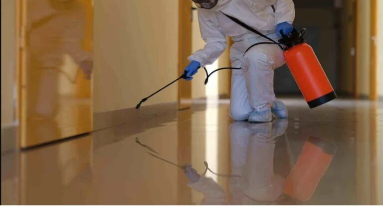 pest control jeddah