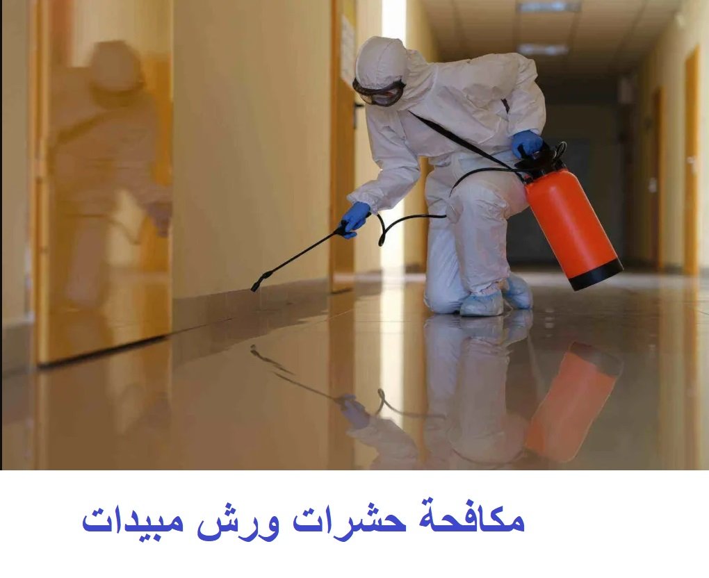 pest control jeddah